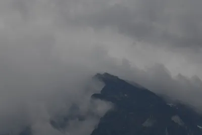 DSC_6397 (Large).JPG